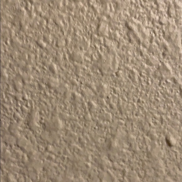 Meet your Posher, Nolan - Picture 1 of 1